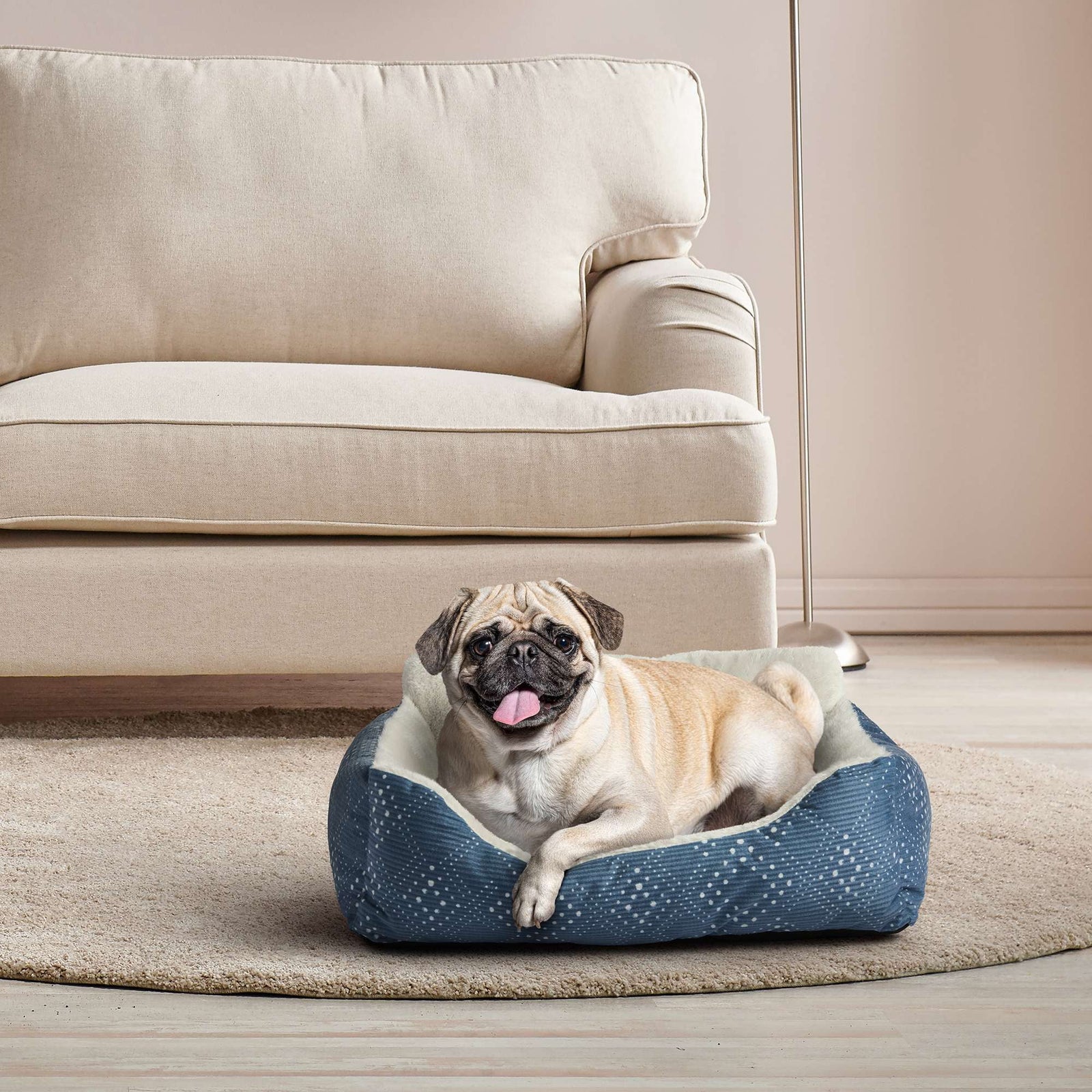 Lounger Small Dog or Cat Bed, Blue 21" X 17"