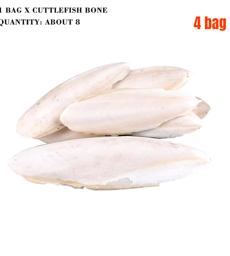 Cuttlefish Bone Natural Cuttlebone Parrot Chew Toys Parrot Calcium Supplements for Bird Cockatiel Parakeet Parrot